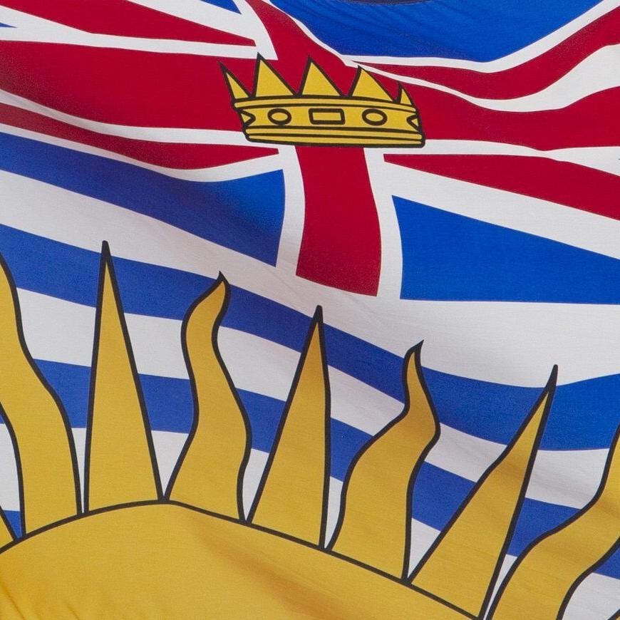 Lifetime teaching ban for former B.C. school counsellor after child porn conviction